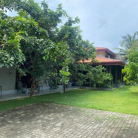 Negombo 146 Homestay المظهر الخارجي الصورة