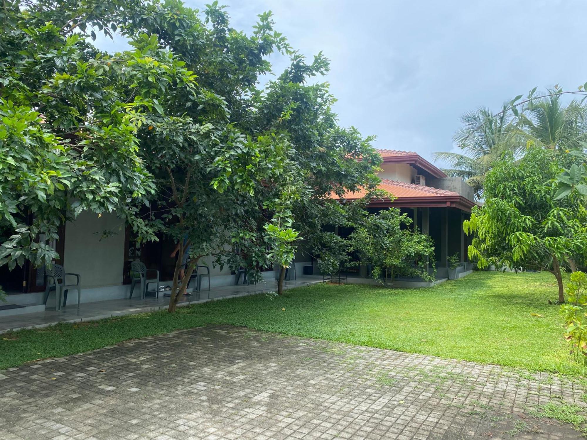 Negombo 146 Homestay المظهر الخارجي الصورة